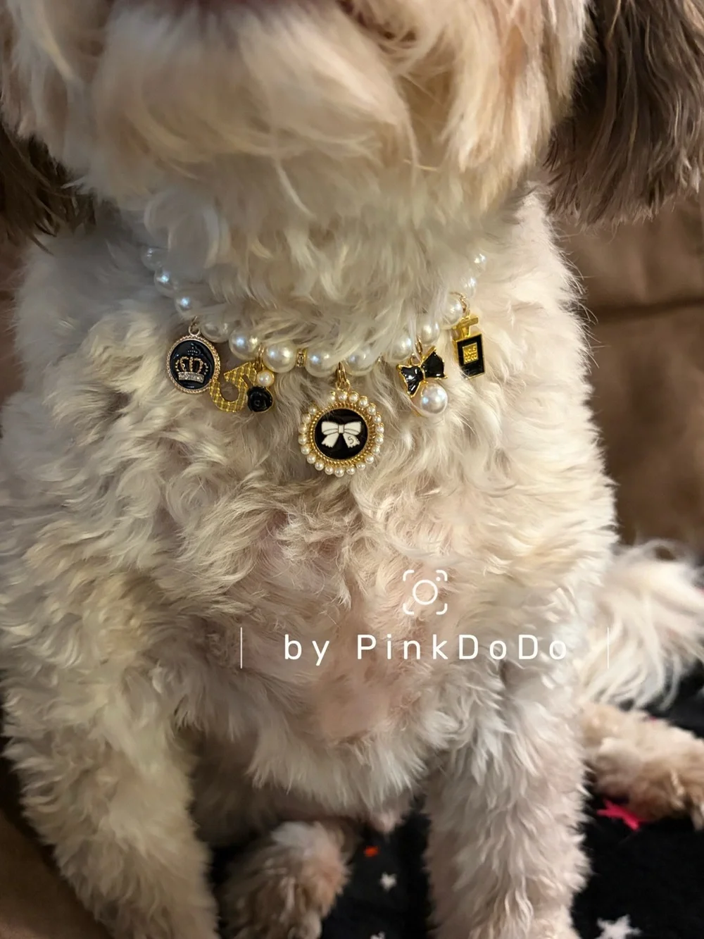Cute Pearl Dog Cat Collar Necklace Black and Gold Charms Pet Jewelry Adjustable